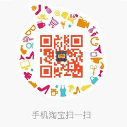網(wǎng)站二維碼